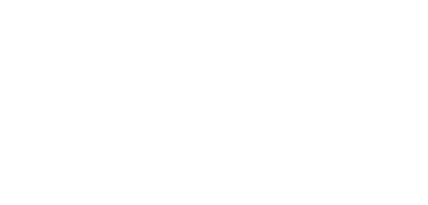 Set of the Year logo