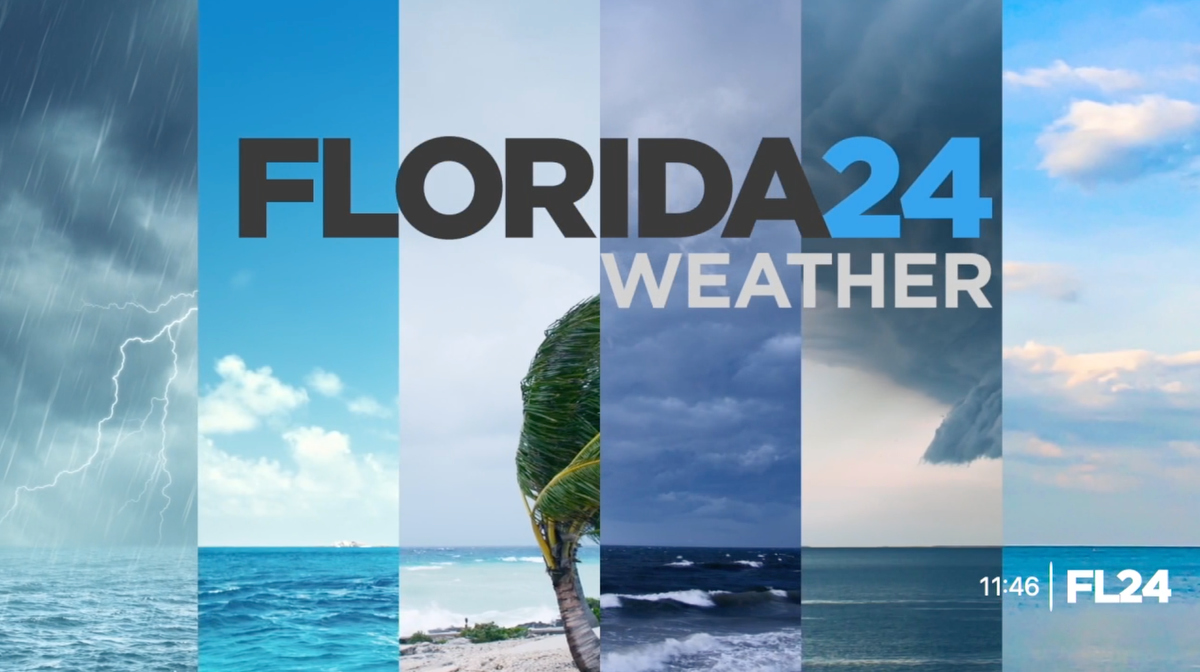 Florida-24-Graphics_16