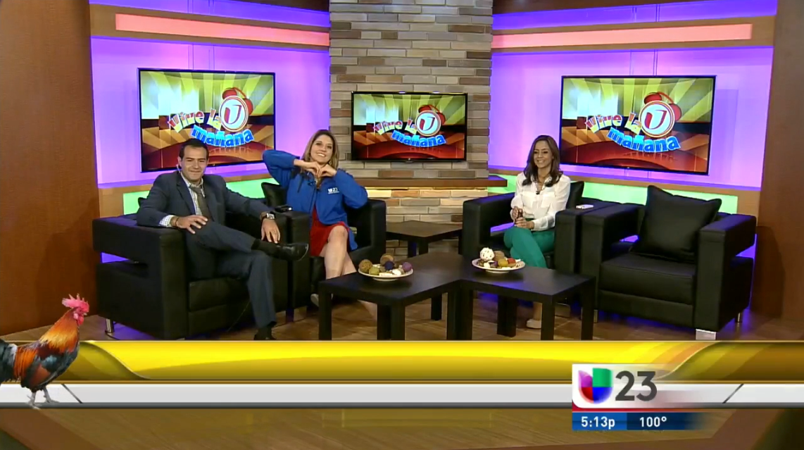 ncs_univision_dallas_2013_09