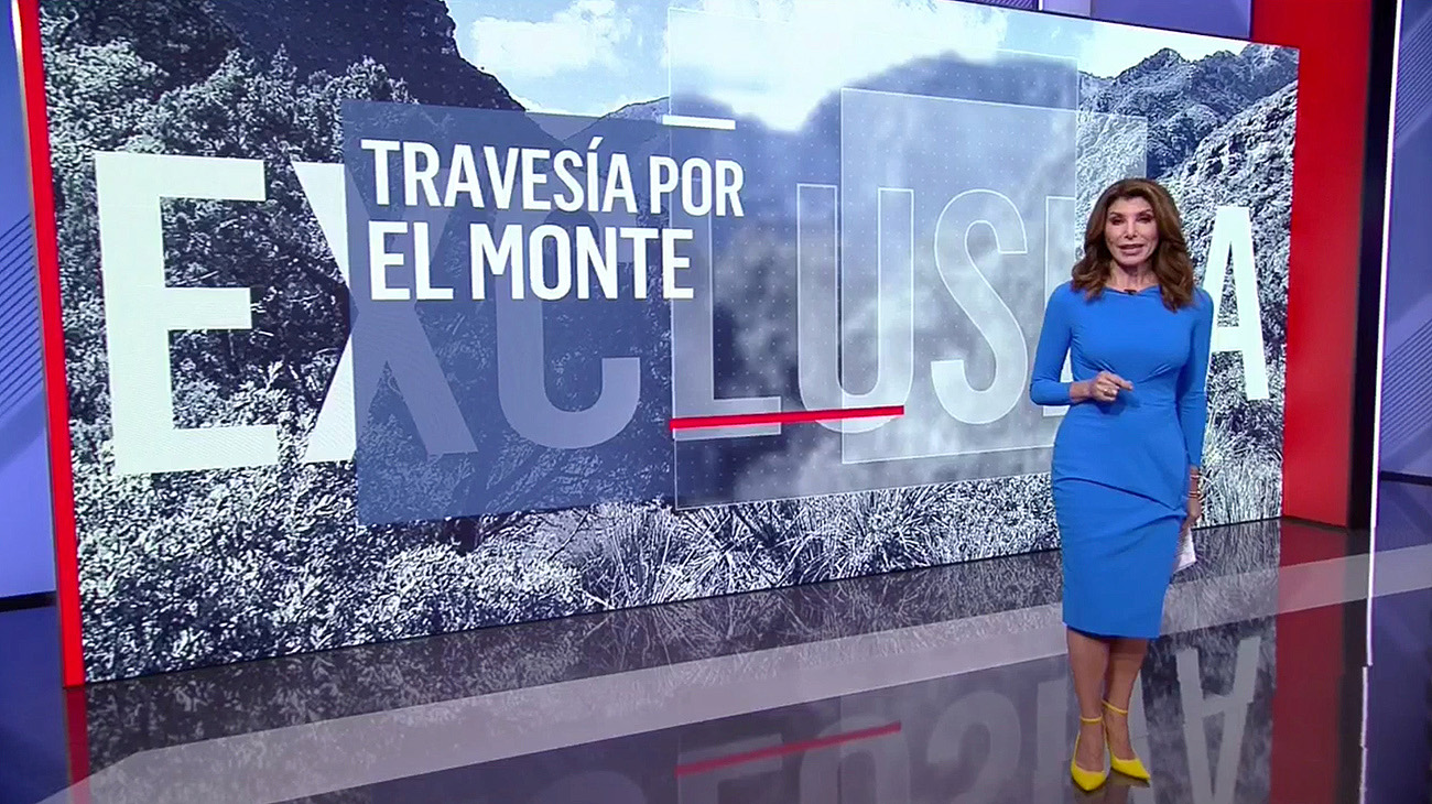 NCS_Noticiero-Univision-graphics_14