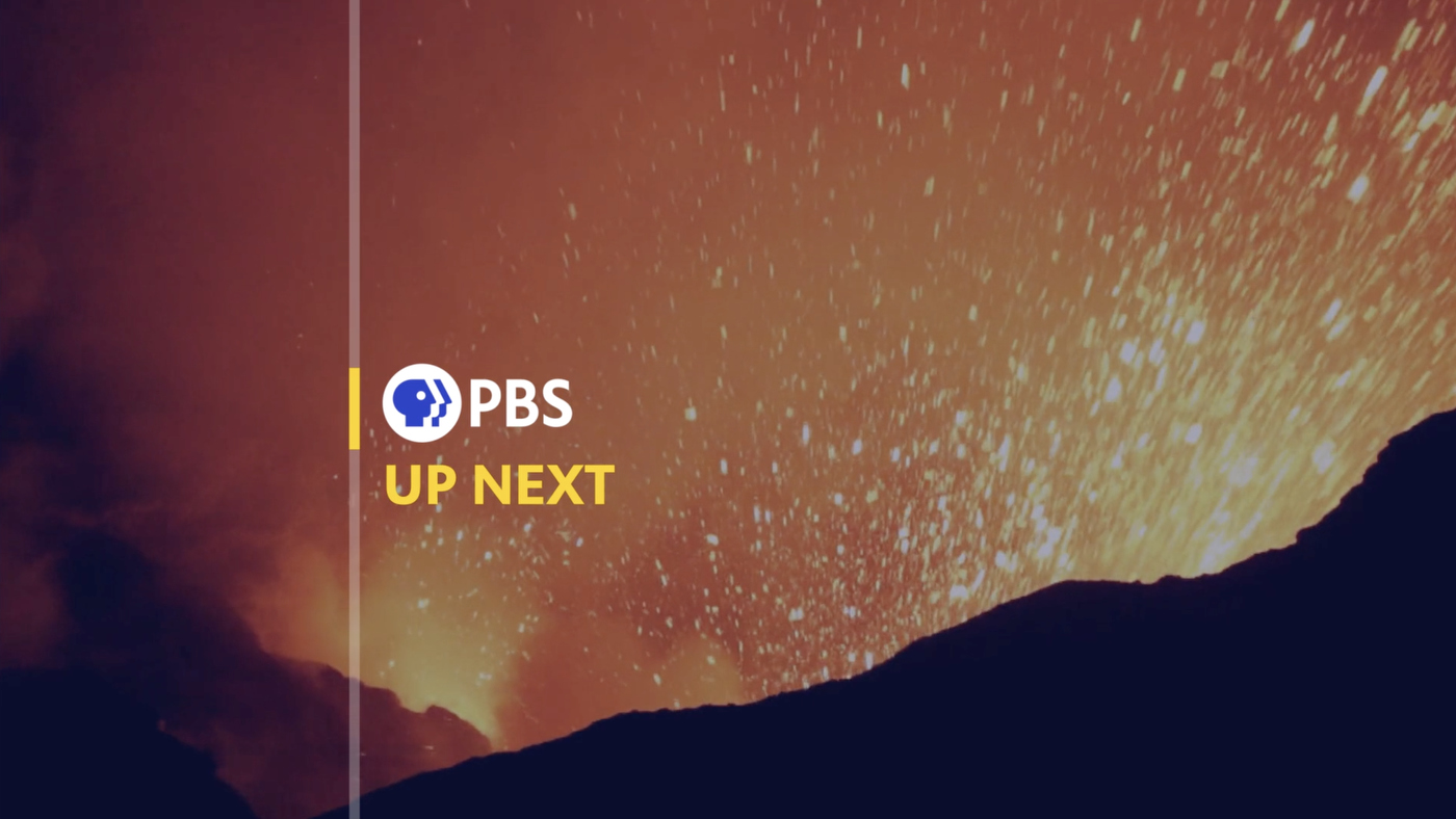 NCS_PBS-2019-Network-Branding_07