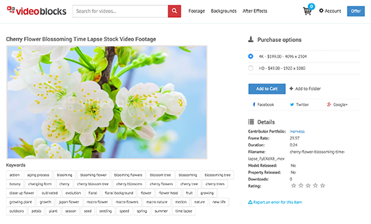 Marketplace Screenshot 5