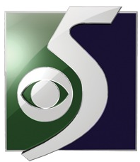 WNEM Flint Logo