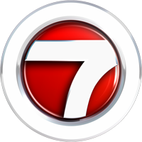 WSVN-TV logo